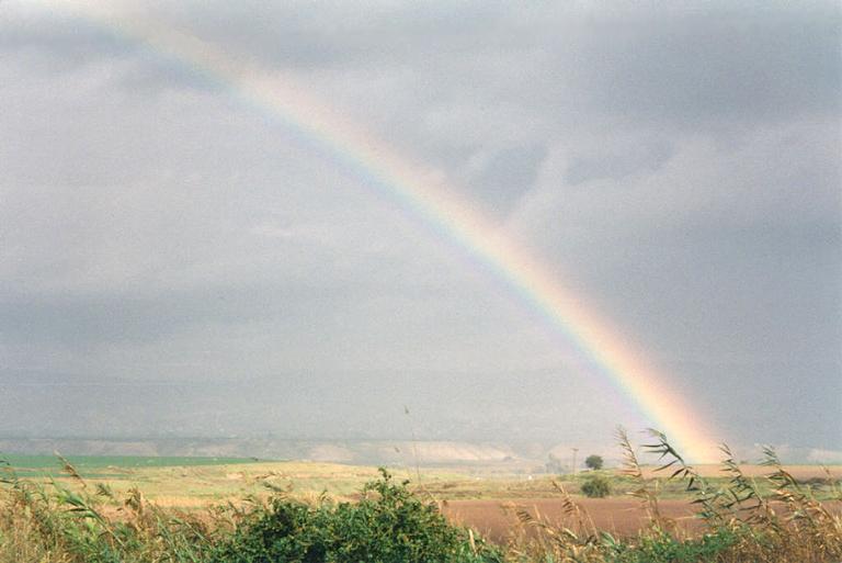 Szivárvány 8.